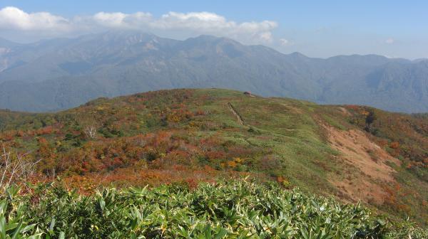 紅葉まっさかり